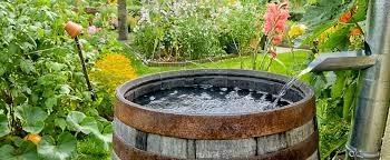 Schéma d'un système de récupération d'eau de pluie
